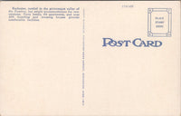 Zumbro Hotel Rochester Minnesota Postcard PC466