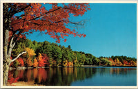 Lake Wentworth in Autumn Wolfeboro NH Postcard PC474