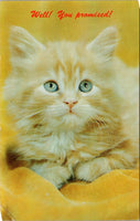 "Well! You Promised" Cat Postcard PC477