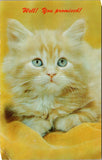 "Well! You Promised" Cat Postcard PC477
