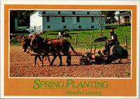 Spring Planting Amish Country Postcard PC477