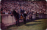 Army Mascot at Football Games West Point NY Postcard PC491