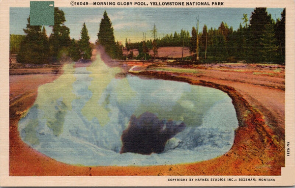 Morning Glory Pool Yellowstone National Park Postcard PC501