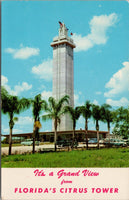 It's A Grand View from Florida's Citrus Tower Postcard PC501