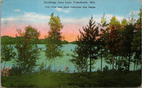 Greetings from Lake Tomahawk WI Postcard PC501