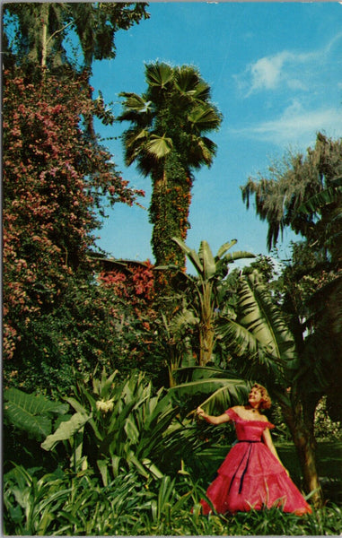 Tropical Foliage Cypress Gardens FL Postcard PC500