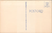 Legend of the Spanish Moss Postcard PC500