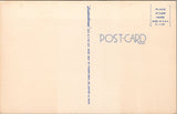 Legend of the Spanish Moss Postcard PC500