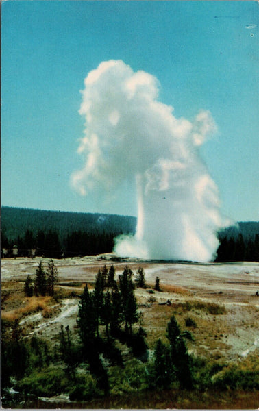 Old Faithful Geyser Yellowstone Park Postcard PC499