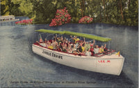 Jungle Cruise on Tropical Silver River Florida's Silver Springs Postcard PC497