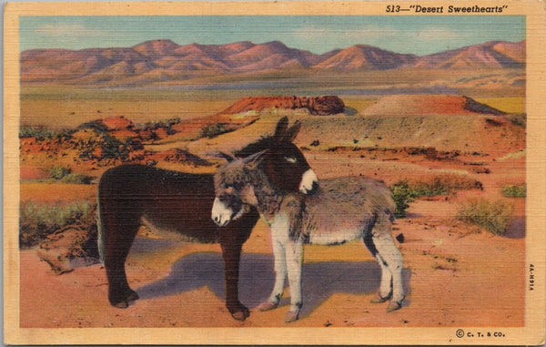 "Dearest Sweethearts" The Burro Postcard PC496