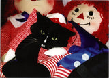 Halloween the Cat The John Gruelle Raggedy Ann & Andy Museum Postcard PC50