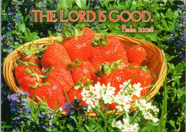 The Lord is Good Psalm 100:5 Postcard PC505